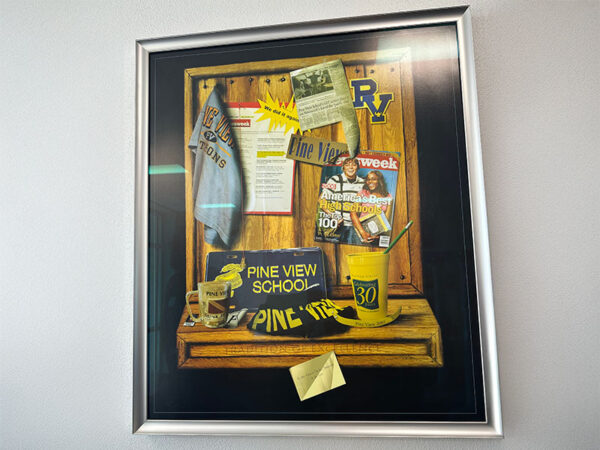 shadowbox display of school achievements at Pine View School